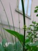 DSCN6058.JPG