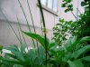 DSCN6060.jpg