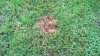 WP_20150506_18_01_06_Pro.jpg