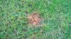 WP_20150506_18_01_22_Pro.jpg
