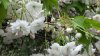 20150508_144609.jpg
