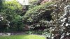 20150509_115825.jpg