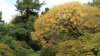 20150509_115936.jpg