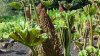 20150509_130945.jpg