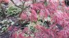 20150509_120312.jpg