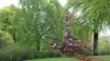 20150509_114717.jpg