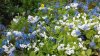 20150509_123920.jpg