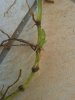 20150510_115730.jpg