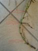 20150510_115839.jpg
