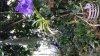 20150512_105349.jpg
