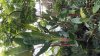 20150512_111110.jpg
