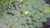20150512_110054.jpg