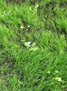 IMG_20150508_074537.jpg