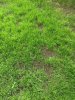 IMG_20150512_191613.jpg