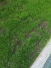 IMG_20150512_191618.jpg