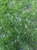 IMG_20150512_191556.jpg