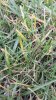 20150516_171416_new.jpg