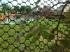 IMG_20150517_091149.jpg