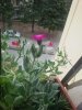 20150521_141738.jpg