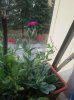 20150521_143510.jpg