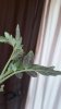20150525_201029.jpg