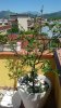IMG-20150512-WA0003.jpg