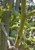 WP_20150529_003.jpg