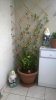 WP_20150601_004.jpg