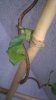 WP_20150601_010.jpg