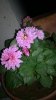 WP_20150531_002.jpg