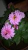 WP_20150531_003.jpg