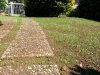 IMG_20150603_145004.jpg