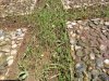 IMG_20150603_145018.jpg