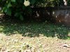 IMG_20150603_145033.jpg