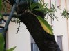 20150603_204426.jpg