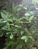 20150609_151833.jpg