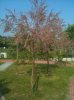 intero-IMG_3813.jpg