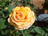 DSC01820.jpg