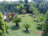 CYCAS INGRESSO.jpg