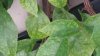 20150612_184239.jpg