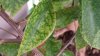 20150612_184137.jpg