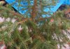 20150613_183210.jpg