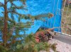 20150613_183215.jpg