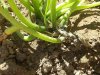 20150630_095517.jpg