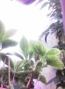 IMG_20150630_121424.jpg