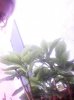 IMG_20150630_121453.jpg