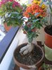 20150630_085516.jpg