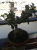 20150630_085432.jpg