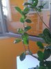 20150630_085313.jpg