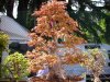 DSCN4335.jpg